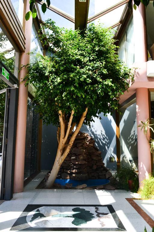 Argenta Apart Hotel Трелев Екстериор снимка